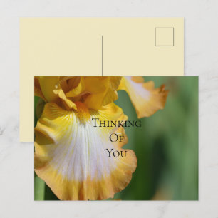 Yellow Iris Flower Thinking of You Postcard