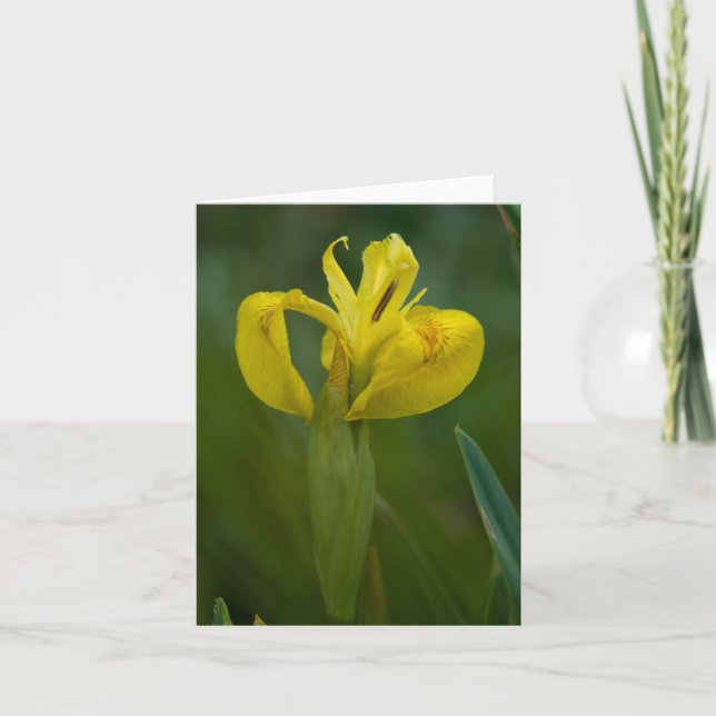 Yellow Iris Note Card (Front)