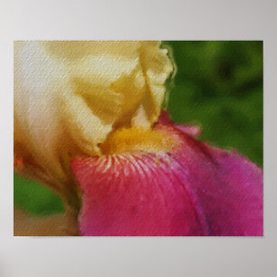 Yellow Iris Petal Photo Painting Flower Art Poster