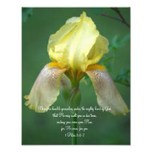 Yellow Iris Scripture Photographic Print