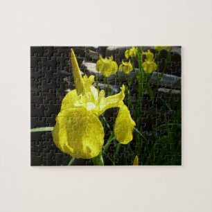 Yellow Irises Bright Spring Floral Jigsaw Puzzle