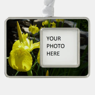 Yellow Irises Bright Spring Floral Silver Plated Framed Ornament