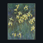 Yellow Irises by Claude Monet, Vintage Fine Art Postcard<br><div class="desc">Yellow Irises (1914-1917) by Claude Monet is a vintage impressionist fine art nature painting featuring blooming yellow iris flowers growing in a garden. About the artist: Claude Monet (1840-1926) was a founder of the French impressionist painting movement with most of his paintings being "en plein air" (in the open air)...</div>