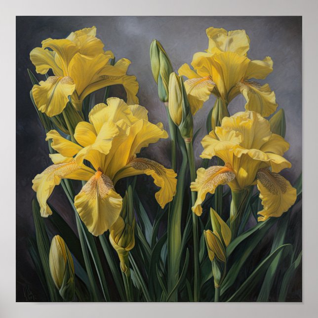 Yellow Irises Flower Art Print Poster (Front)