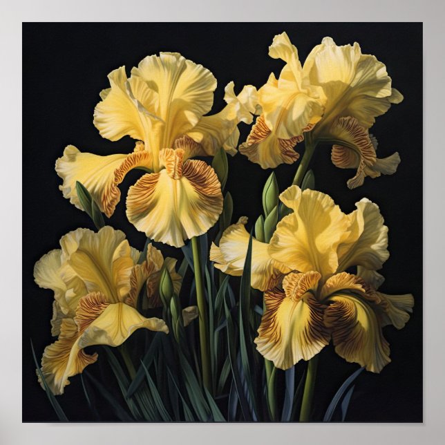 Yellow Irises Flower Art Print Poster (Front)
