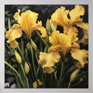 Yellow Irises Flower Art Print Poster