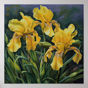 Yellow Irises Flower Art Print Poster
