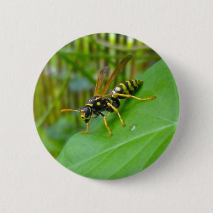 Yellow Jacket Badge