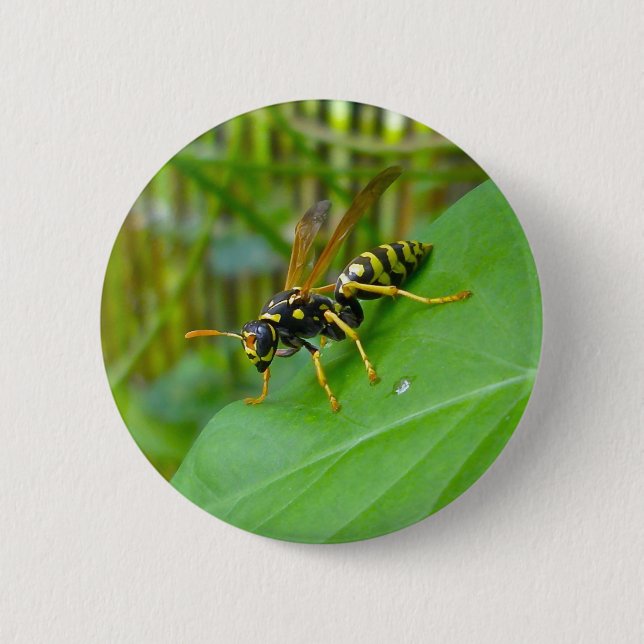 Yellow Jacket Badge (Front)