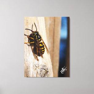 Yellow Jacket in Freeland Canvas Print
