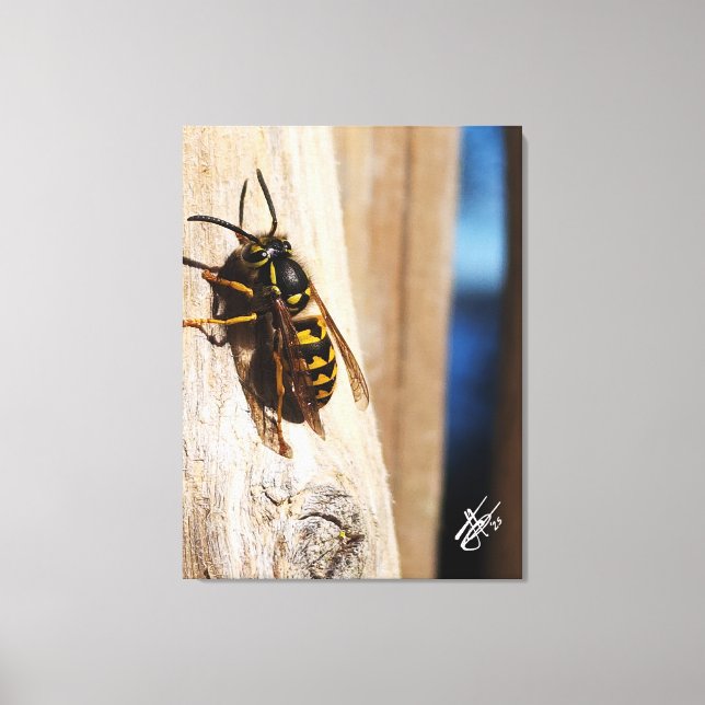 Yellow Jacket in Freeland Canvas Print (Front)
