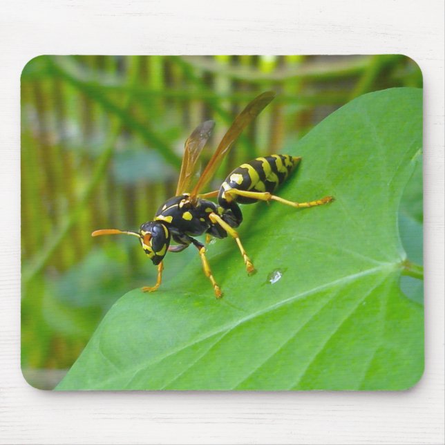 Yellow Jacket Mousepad (Front)