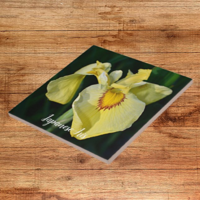 Yellow Japanese Iris Floral Tile (In Situ)