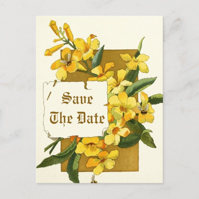 Yellow jasmine flowers wedding Save the Date Announcement Postcard (Front)