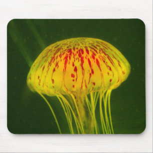 Yellow Jellyfish Mouse Mat