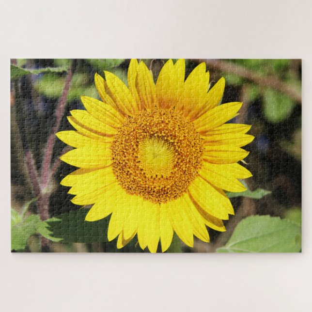 Yellow Jigsaw Puzzle (Horizontal)