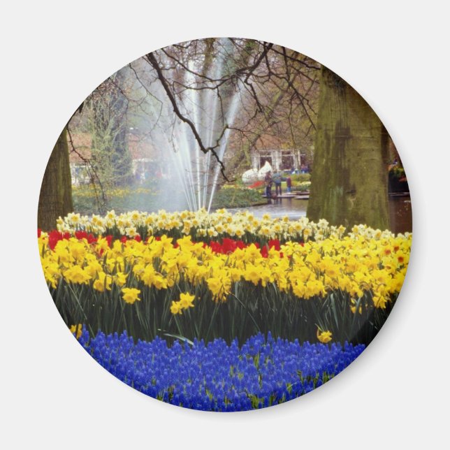 yellow Keukenhof gardens, Amsterdam, Netherlands f Magnet (Front)