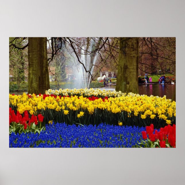 yellow Keukenhof gardens, Amsterdam, Netherlands f Poster (Front)