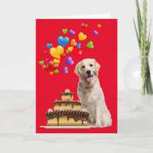 Yellow Lab And Cake Happy Birthday