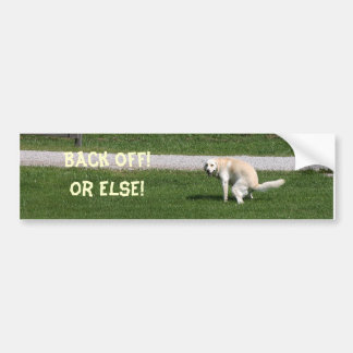 Yellow lab back off bumper sticker