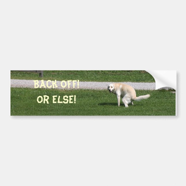 Yellow lab back off bumper sticker (Front)