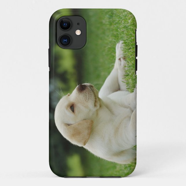 Yellow lab Case-Mate iPhone case (Back)