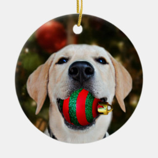 Yellow lab Christmas ball Ceramic Tree Decoration