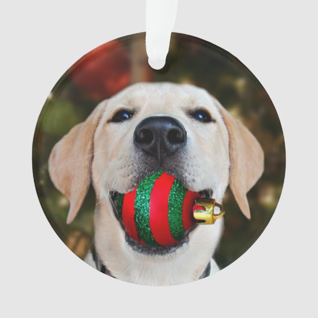 Yellow lab Christmas ball Ornament (Front)