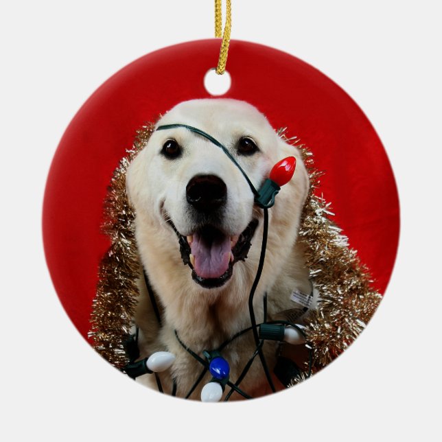 Yellow lab Christmas Ceramic Tree Decoration (Front)
