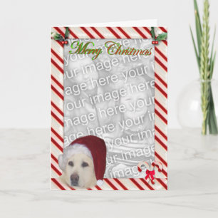 Yellow Lab Christmas Template Card