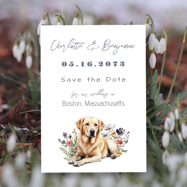 Yellow Lab Dog Wedding Save the Dates Save The Date (Creator Uploaded)