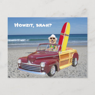 Yellow Lab Driving Woodie Postcard