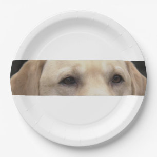 yellow lab eyes paper plate