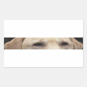 yellow lab eyes rectangular sticker