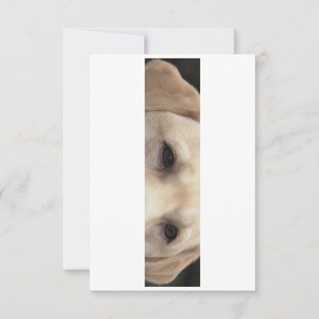 yellow lab eyes thank you card (Front)