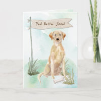 Yellow Lab Feel Better After Surgery with Dog