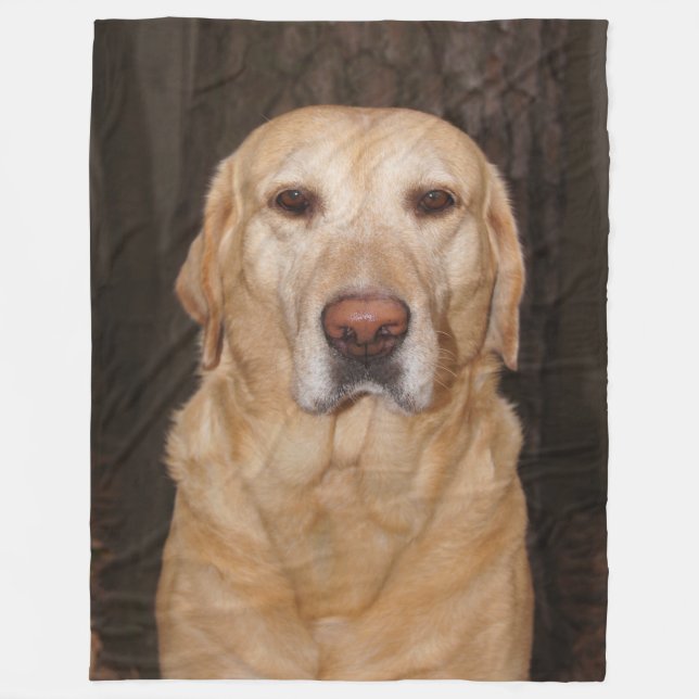 Yellow Lab Fleece Blanket (Front)