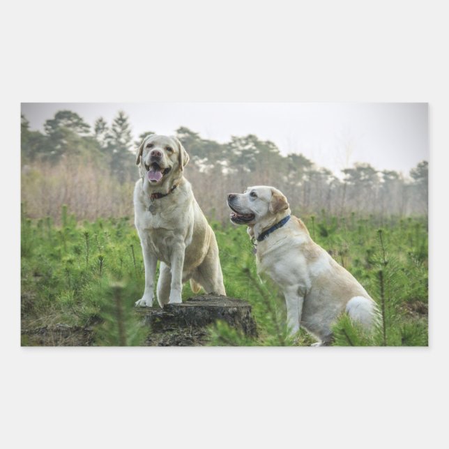Yellow Lab Group Rectangular Sticker (Front)