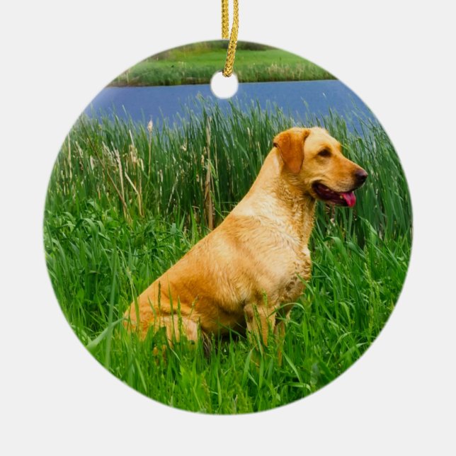 Yellow Lab in the Grass Ceramic Tree Decoration (Front)