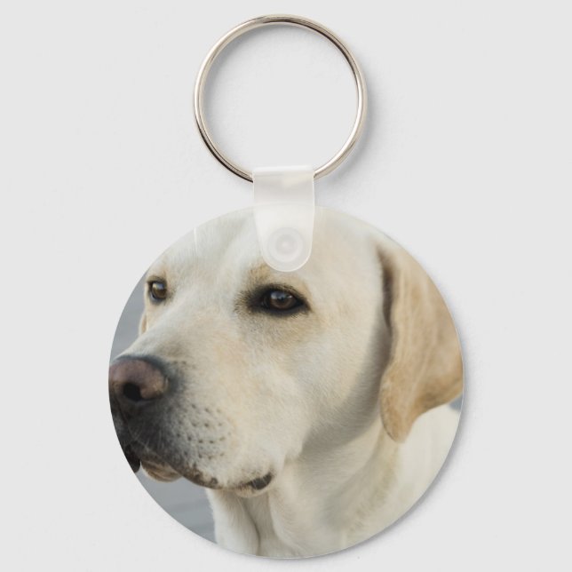 Yellow Lab  Keychain (Front)