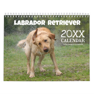 Yellow Lab Labrador Retriever Cute Dog Calendar