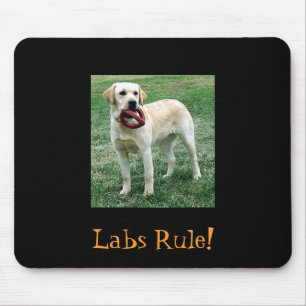 Yellow Lab, Labs Rule! Mouse Mat