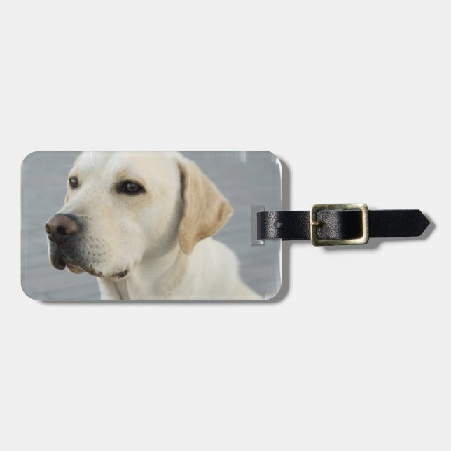 Yellow Lab Luggage Tag (Front Horizontal)