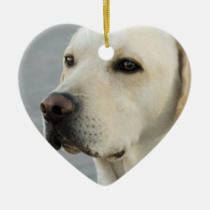 Yellow Lab  Ornament