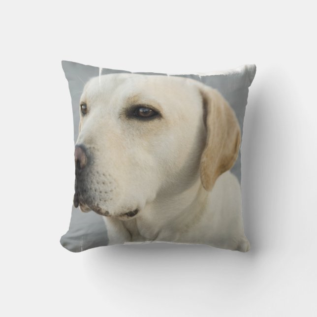 Yellow Lab Pillow (Front)