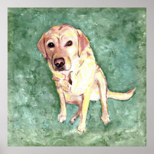 Yellow Lab Poster