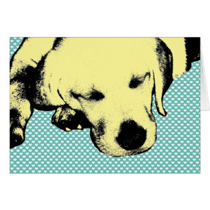 Yellow Lab Puppy