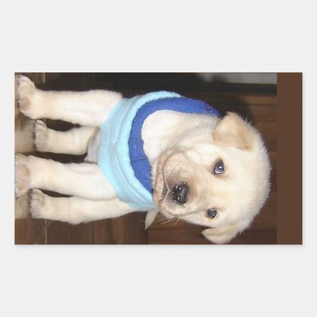 Yellow Lab Puppy in Blie Bandanna Rectangular Sticker (Front)