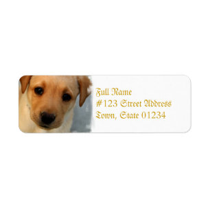 Yellow Lab Puppy Mailing Label