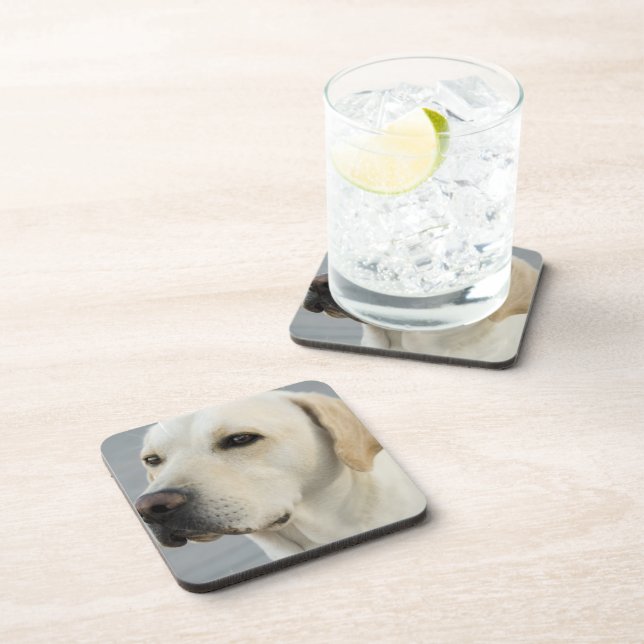 Yellow Lab Set of Six Coasters (Right Side)